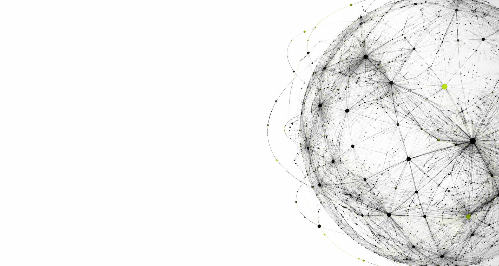 A fine neural network of interconnected nodes